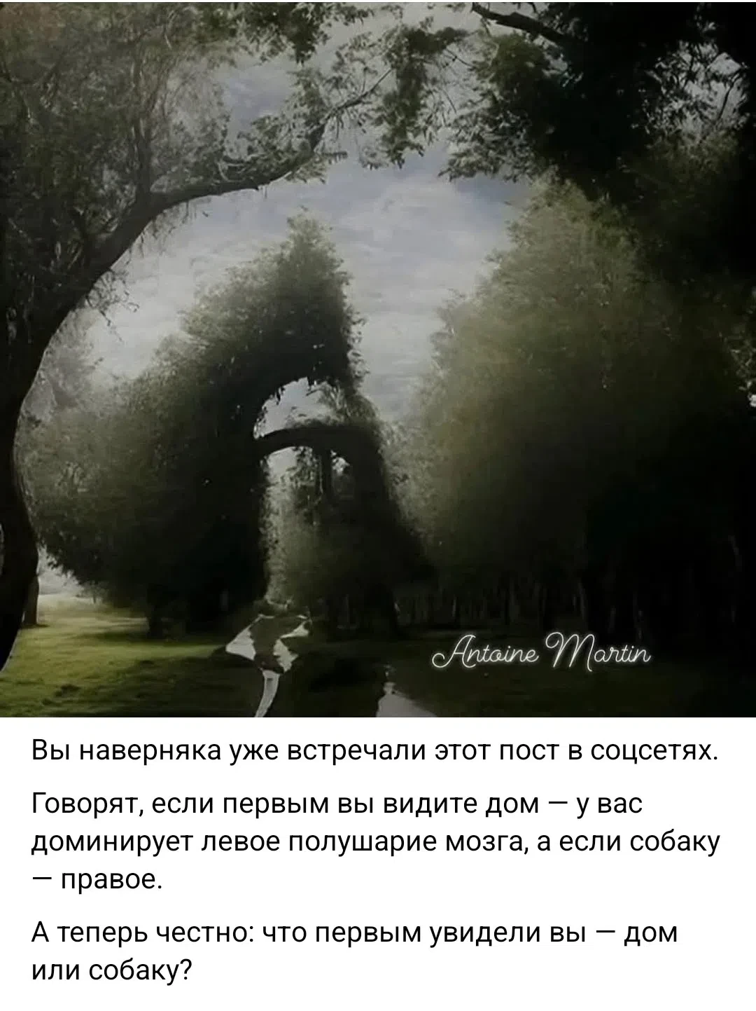 Ну тут явно про любовь картинка 😁🙊🙉🙈