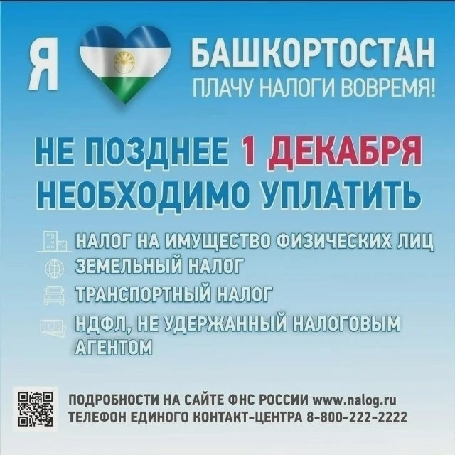 Срок уплаты налогов — 1 декабря