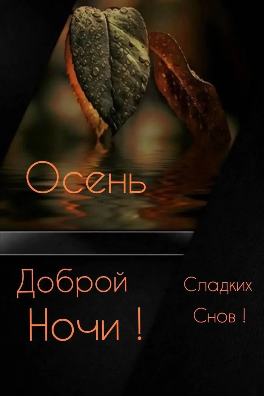 Добрый вечер