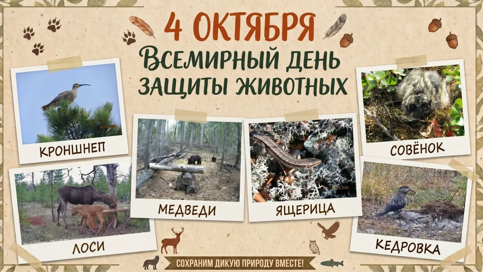 4 ОКТЯБРЯ – ВСЕМИРНЫЙ ДЕНЬ ЖИВОТНЫХ!
