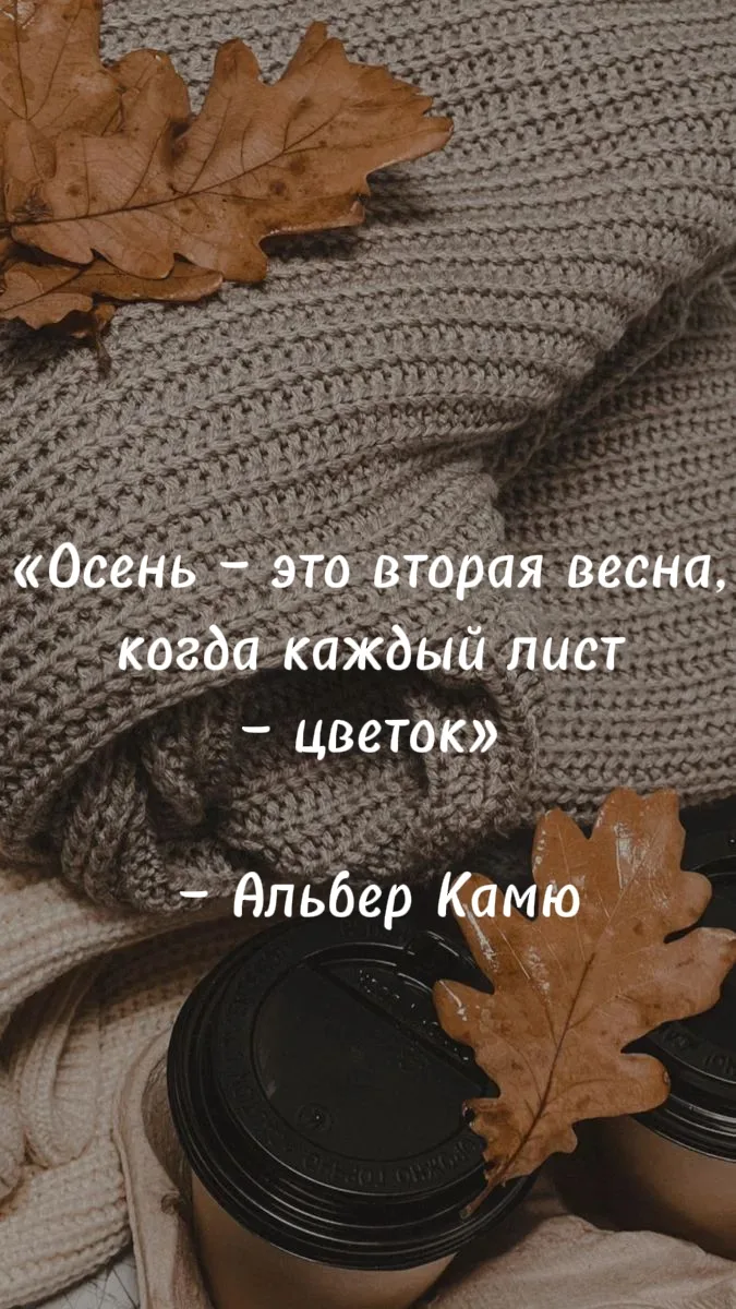 #цитата
