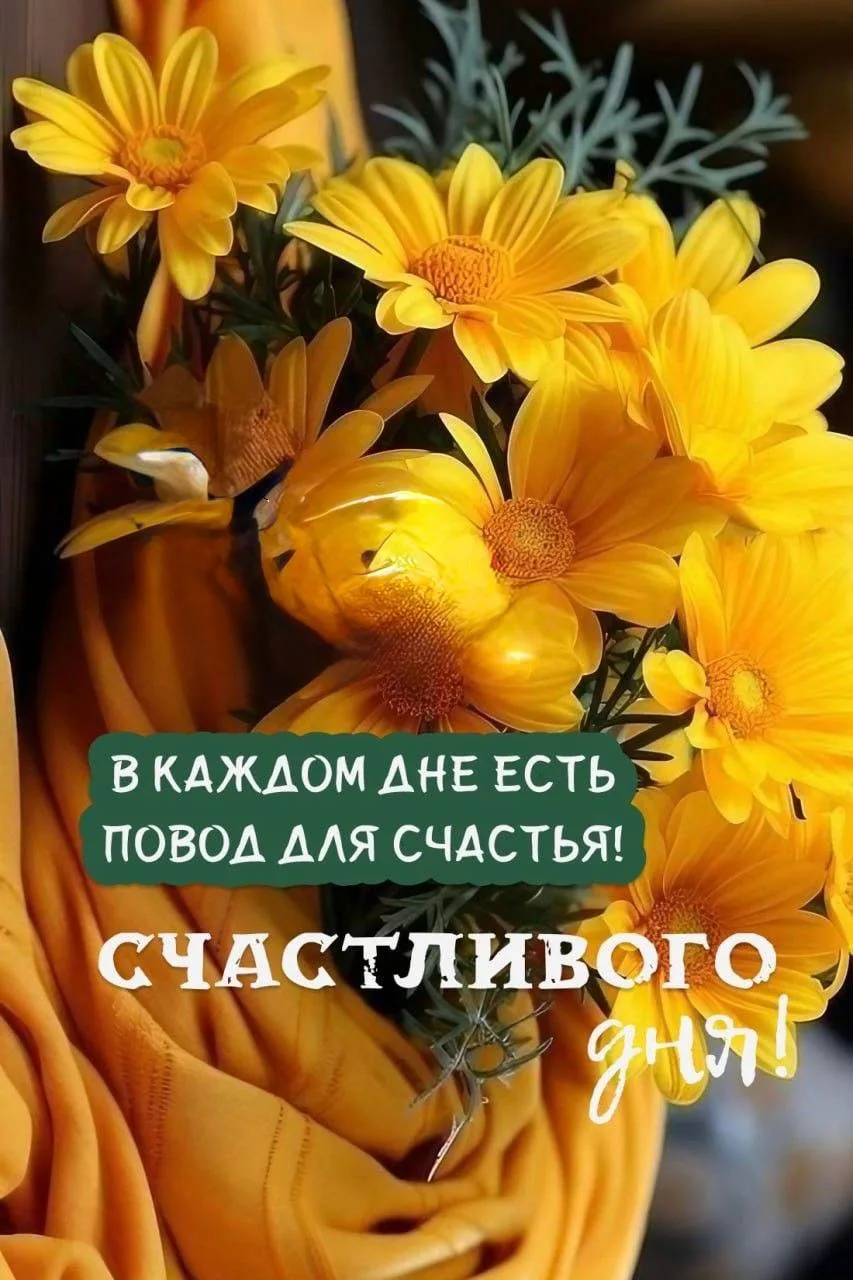 #СчастливогоДня