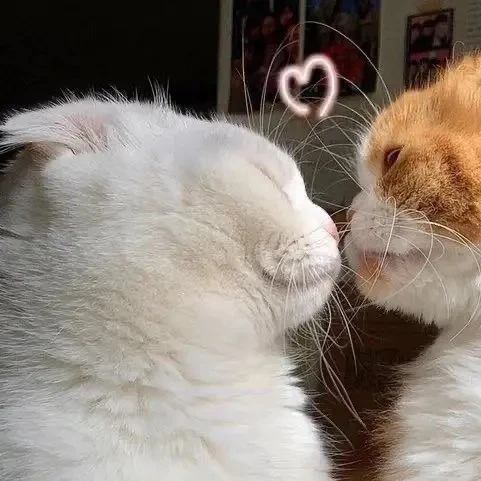 ❤️ - поставим