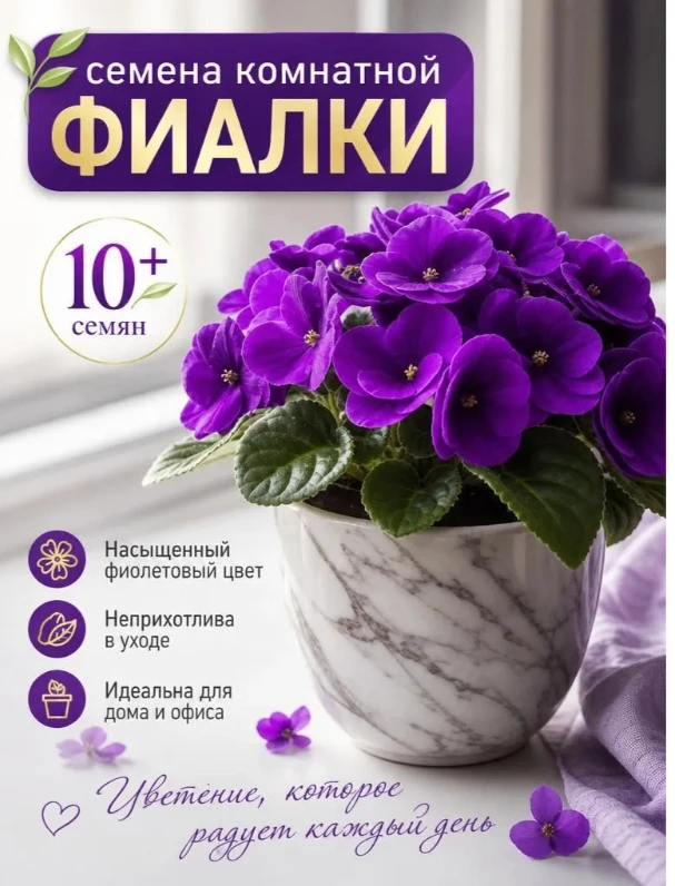 Фиалка комнатная семена 10+ шт