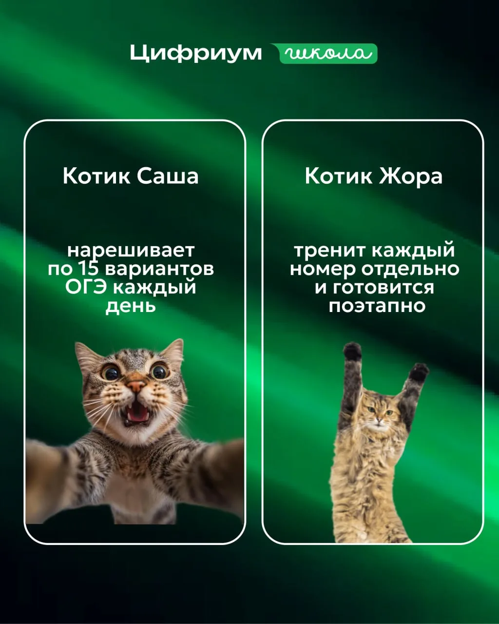 ребят, важный опрос ❕