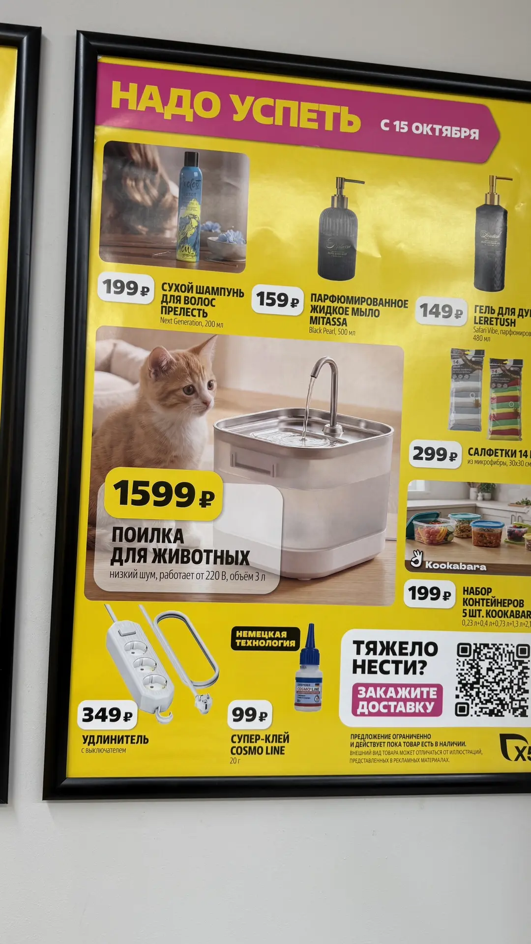 Чижик новенькое