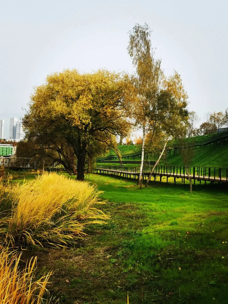 Осенние снимки с новой набережной 🍂