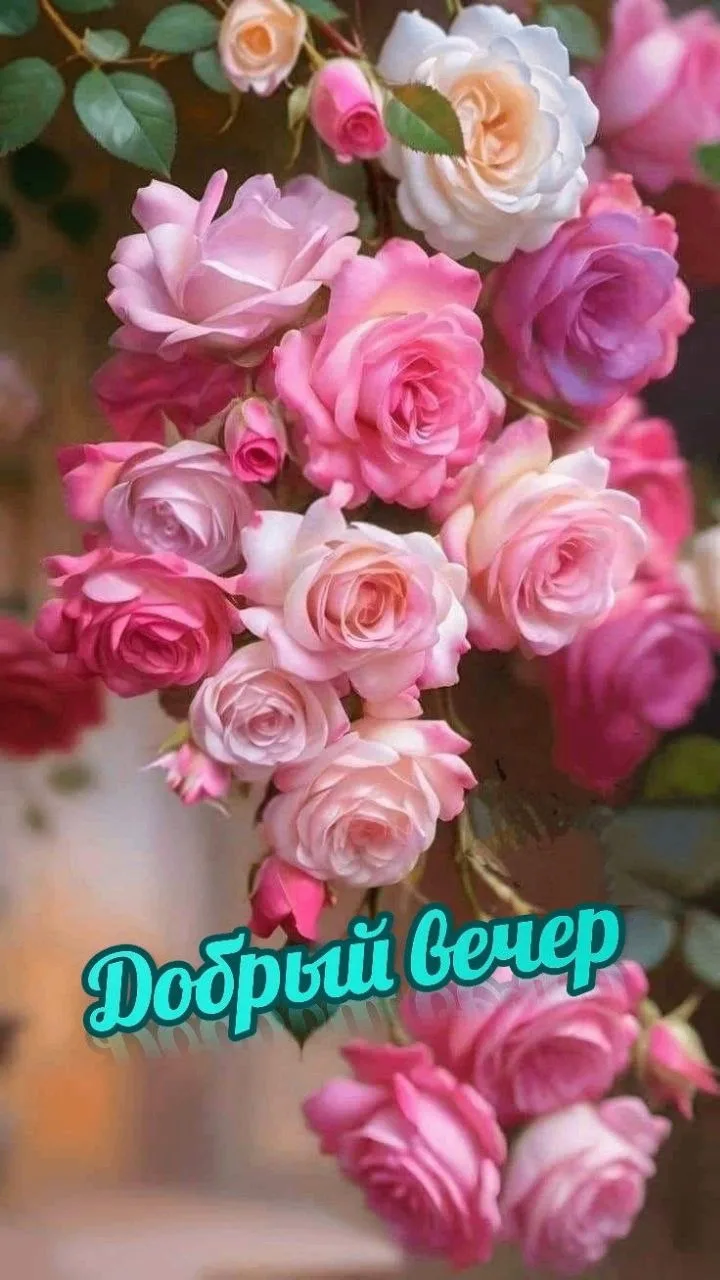 Делитесь открыткой с друзьями и поддерживайте реакцией