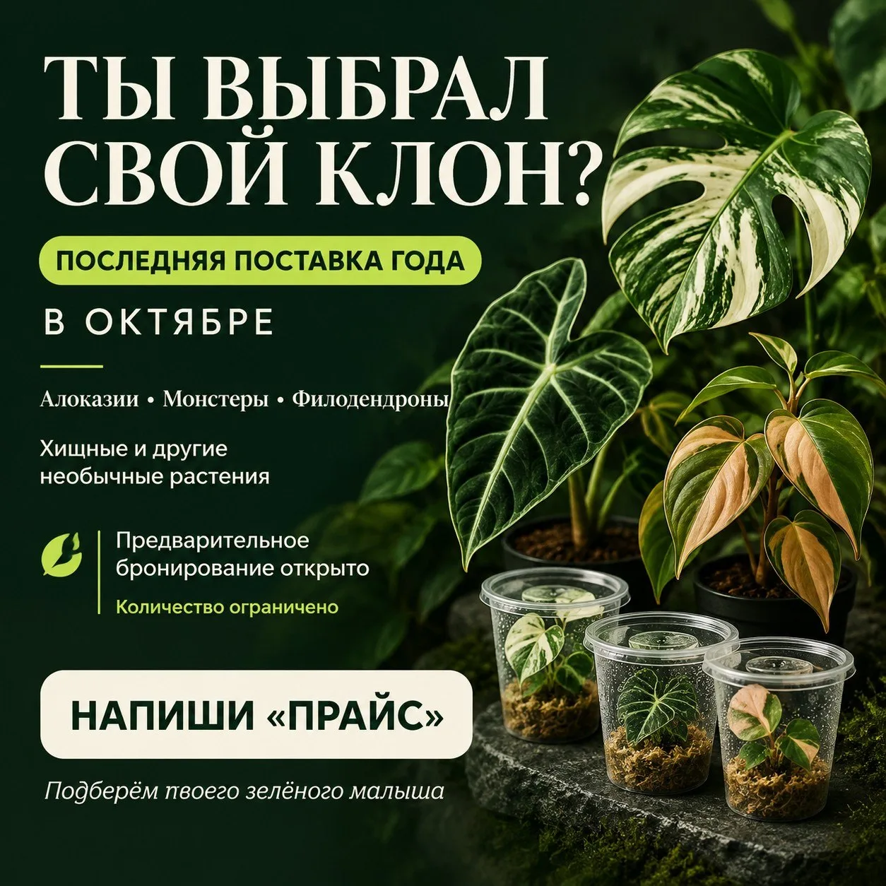 🍃 Ты выбрал свой клон?