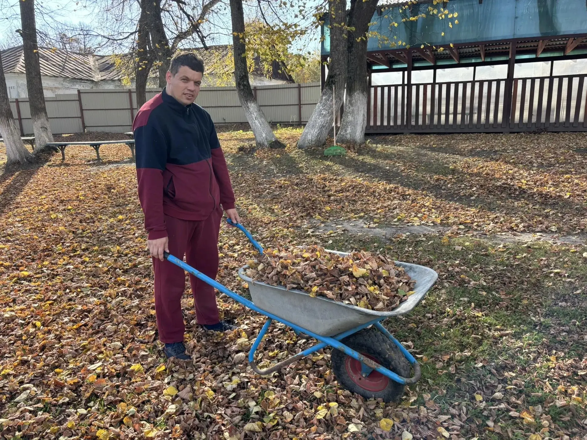 Собираем осень вместе! 🍂🍁