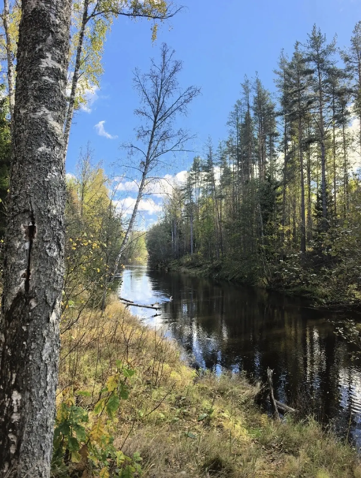 Линдуловская роща