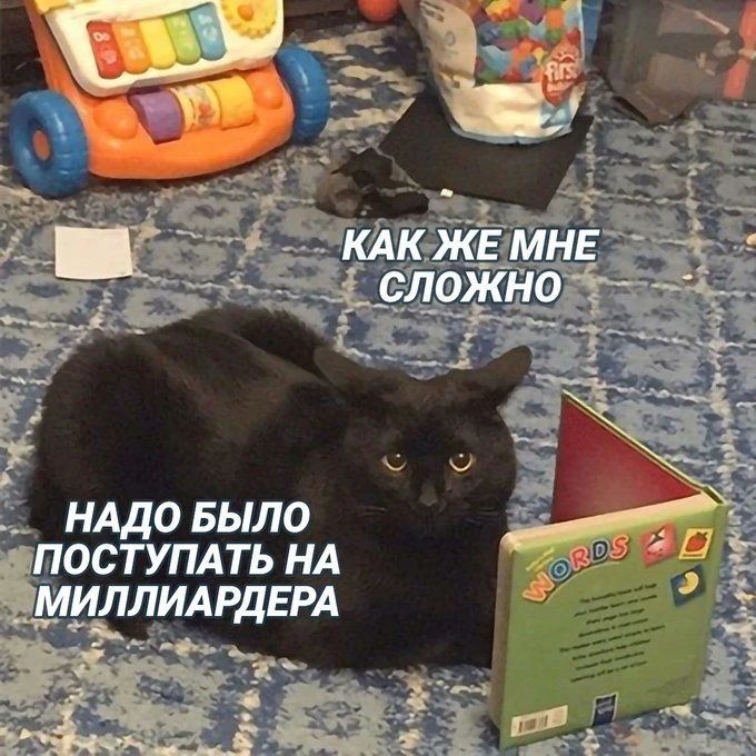 Абитуриентам хотят добавить до 25 баллов за результаты ЕГЭ по профильным предметам. Ини...