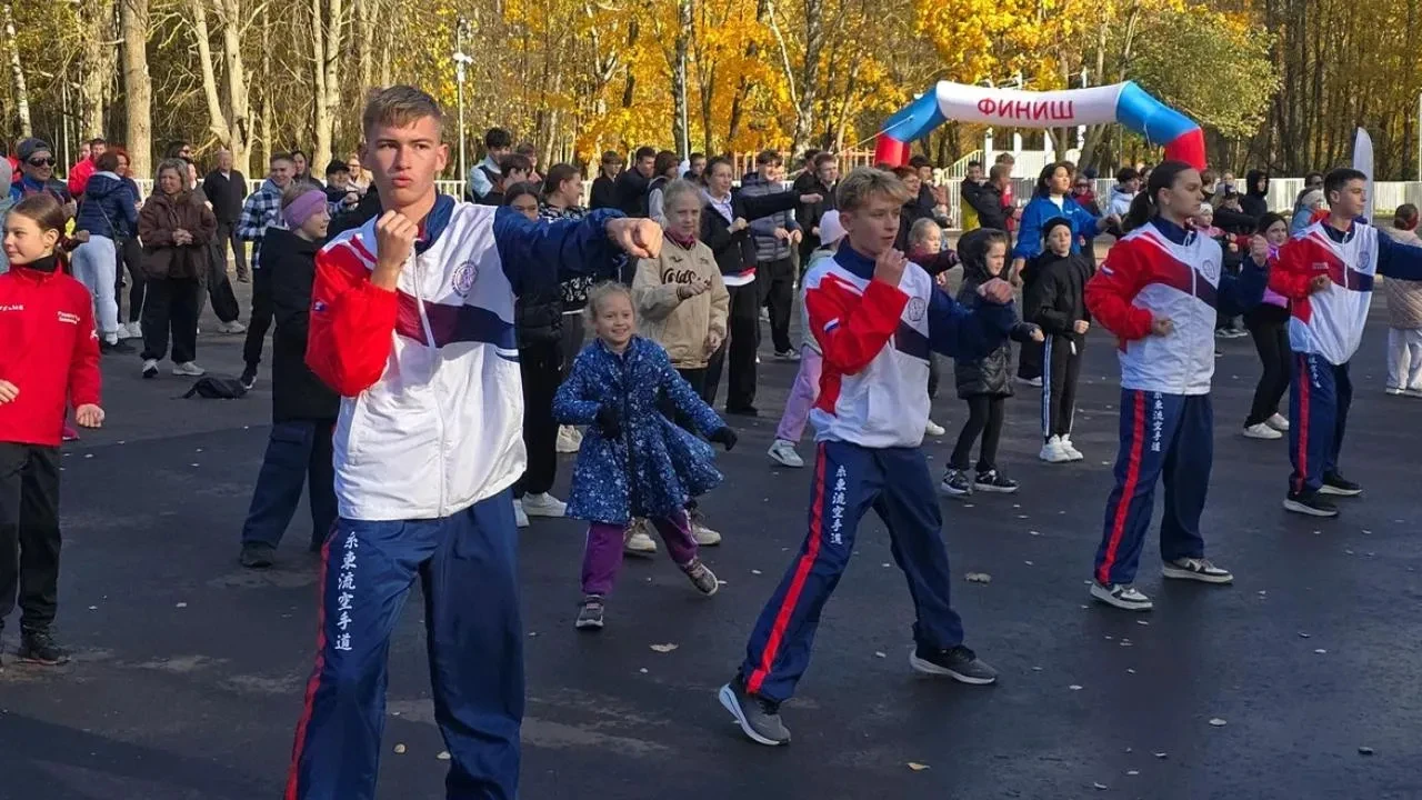 В проекте «Зарядка в парке» приняли участие коломенские каратисты