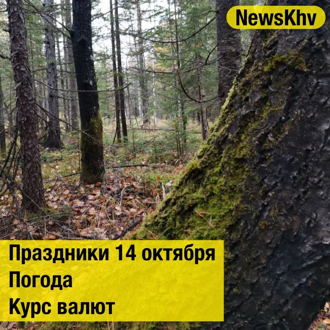 •Всемирный день стандартов