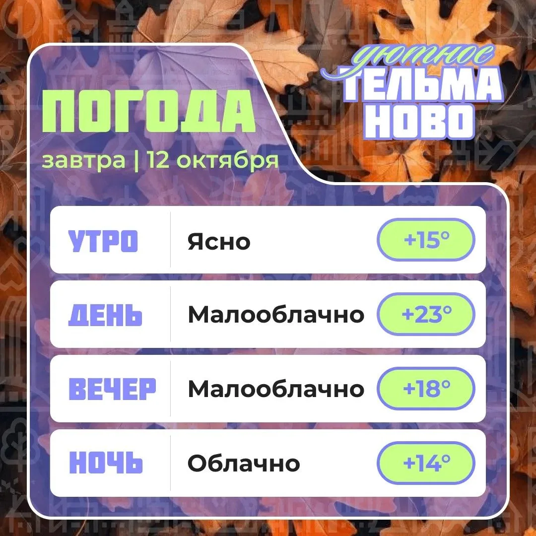 Ваш гид по погоде на завтра🌡