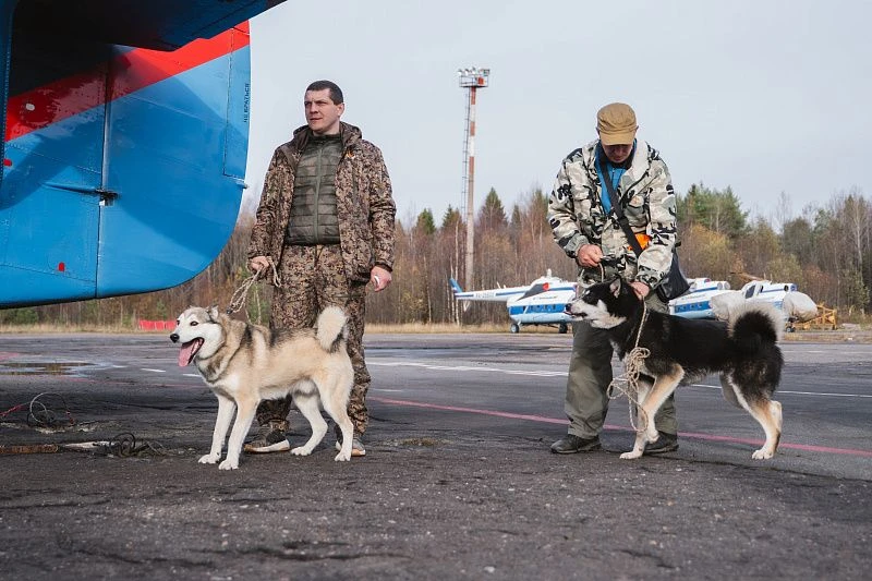 ⚡️🐻 Охотники в Верхней и Нижней Золотице получили приваду и запчасти для автомобиля и ...