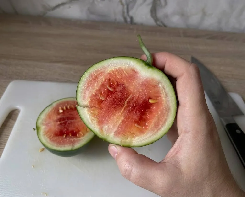 🍉 Первый арбуз с моего балкона!