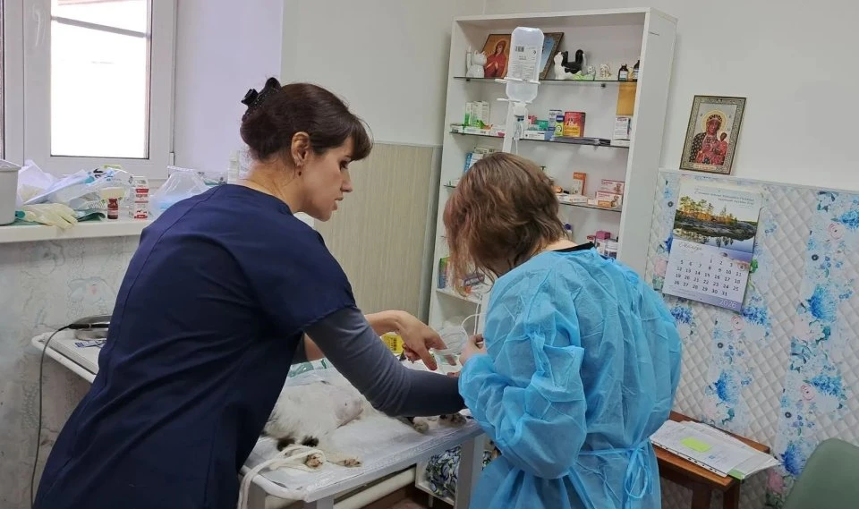 🐈 Профпроба в «Котофее Котофеиче»
