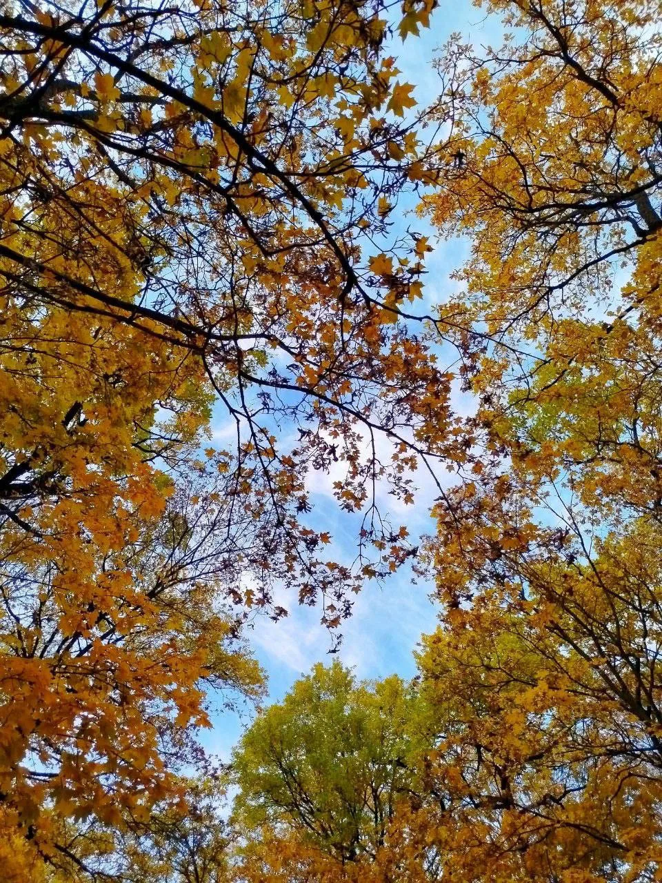 Доброе утро, Арбеково! ❤️