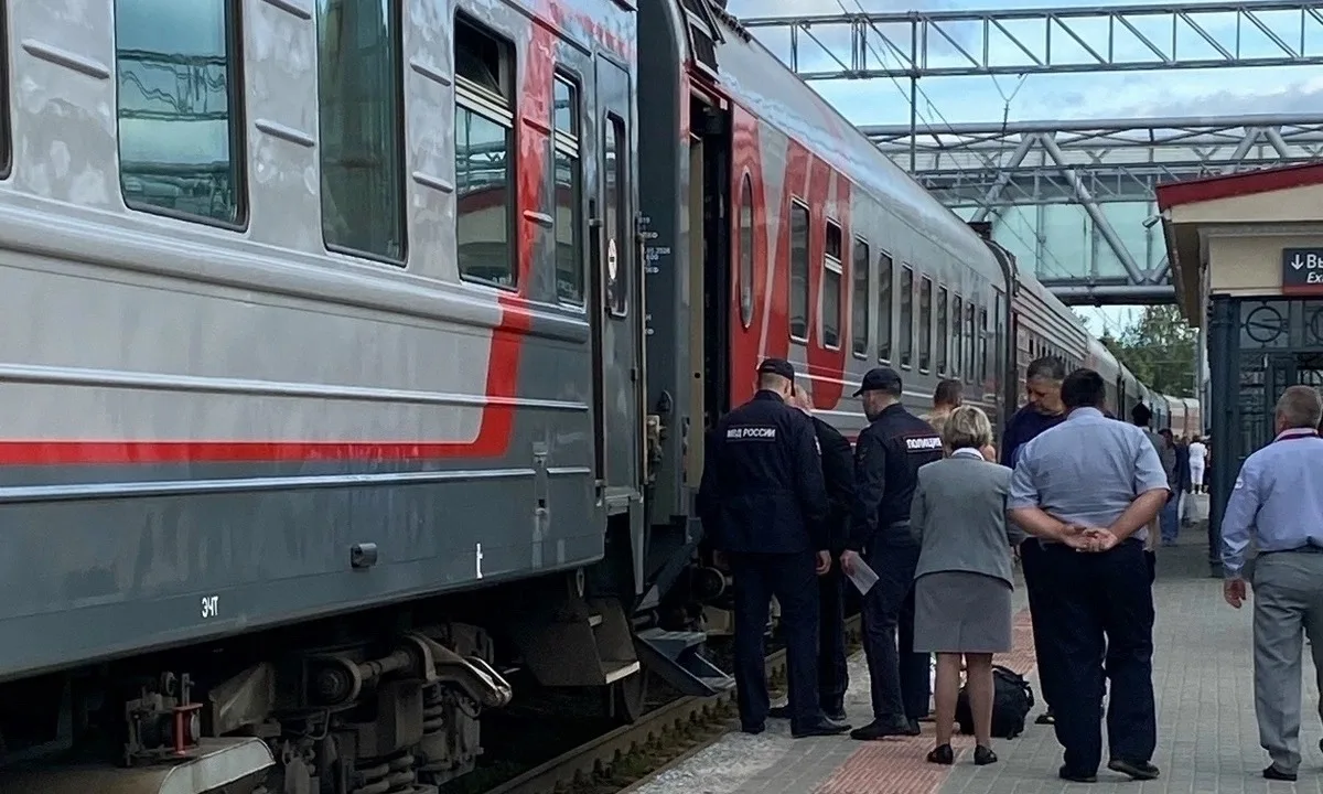 В Карелии из поездов высадили трех буйных пассажиров