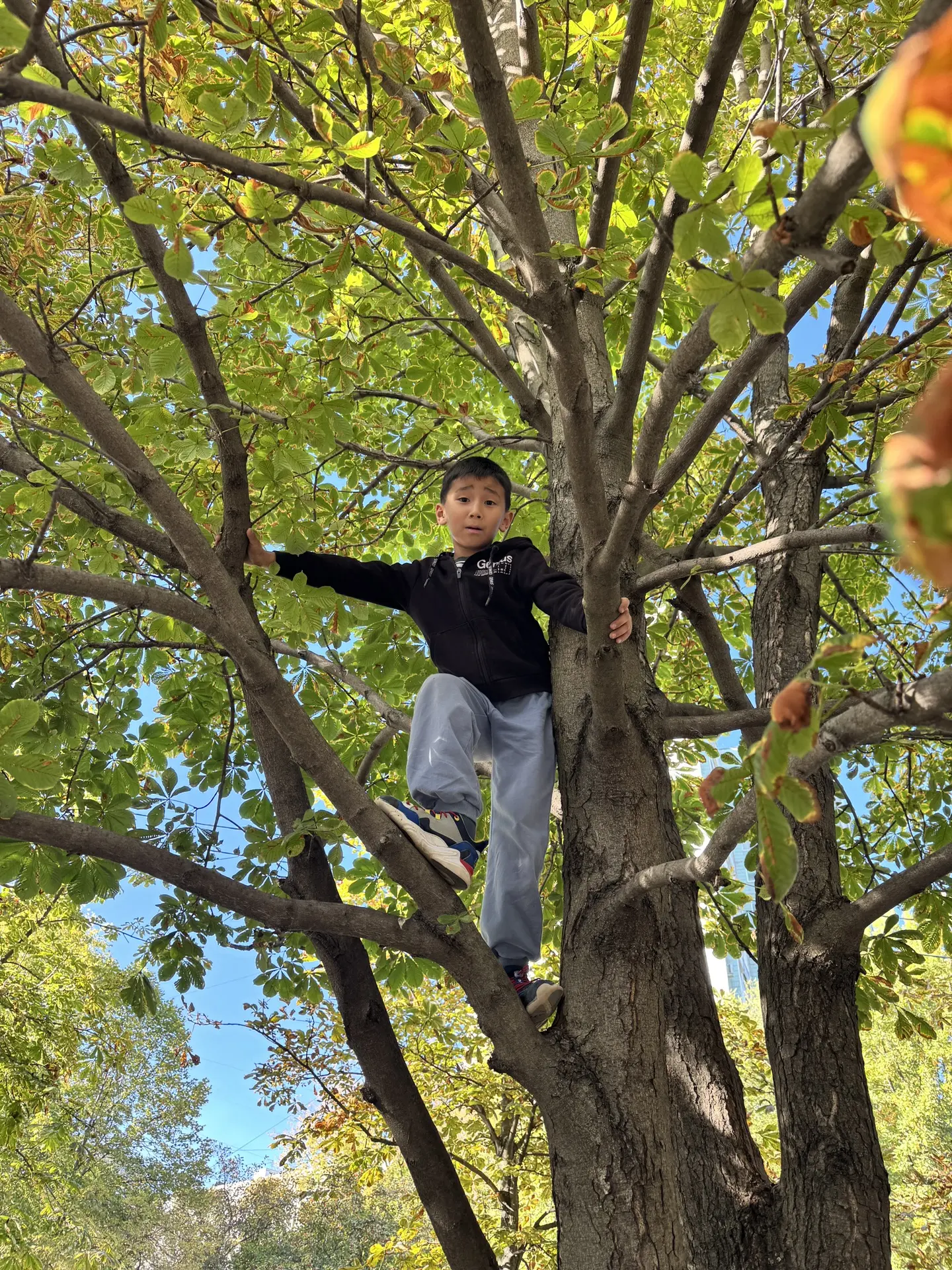 🍂 тепло