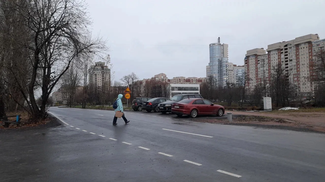 На Шкиперском протоке установят искусственные неровности