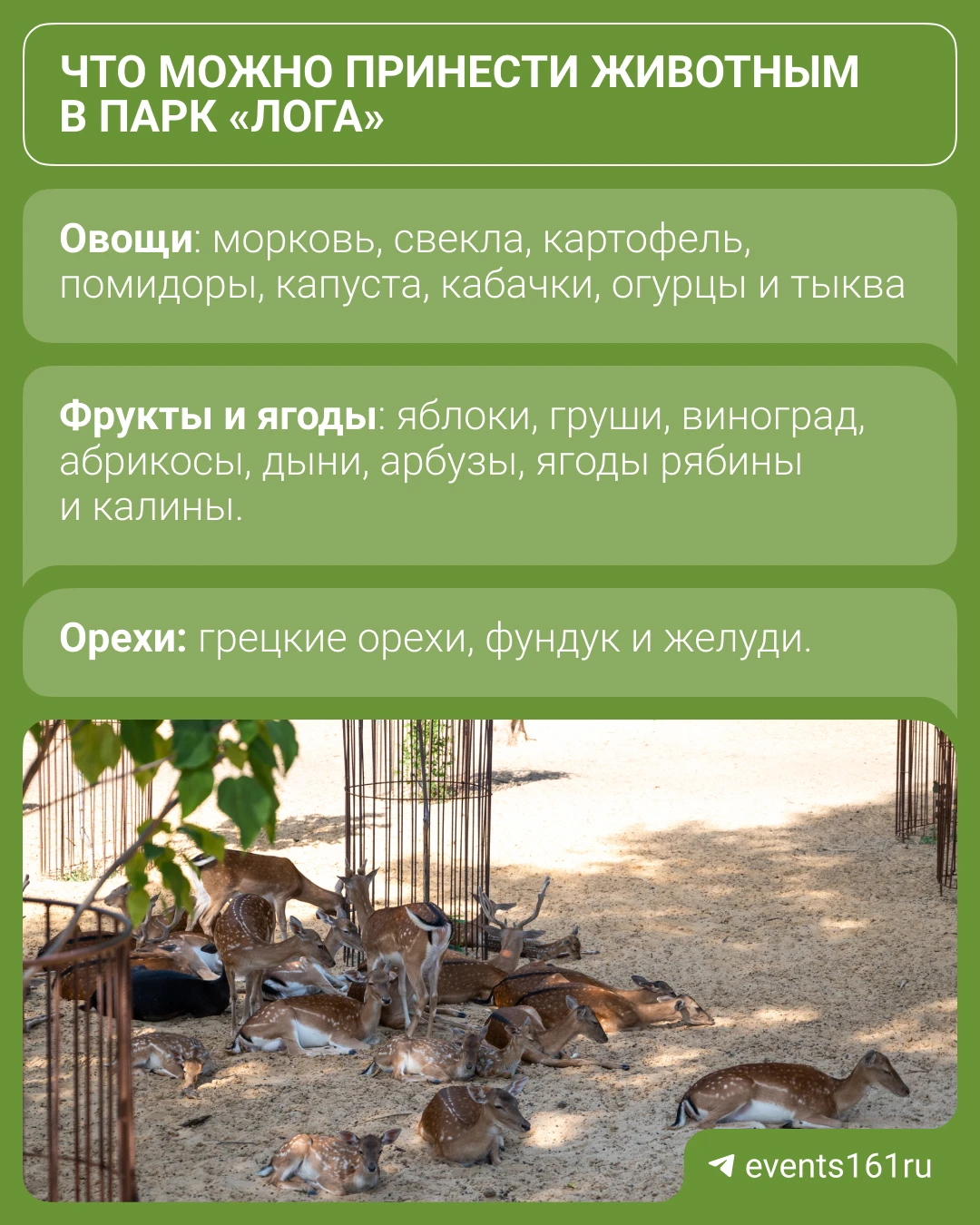 Когда в следующий раз соберетесь в парк «Лога», захватите вкусняшек для животных