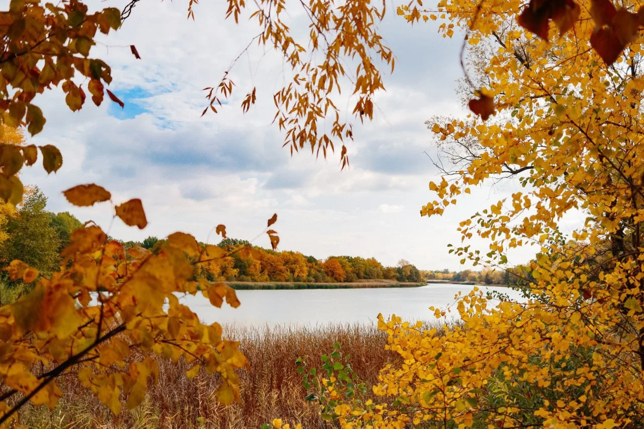 У озёр Нефтегорского района 🌾