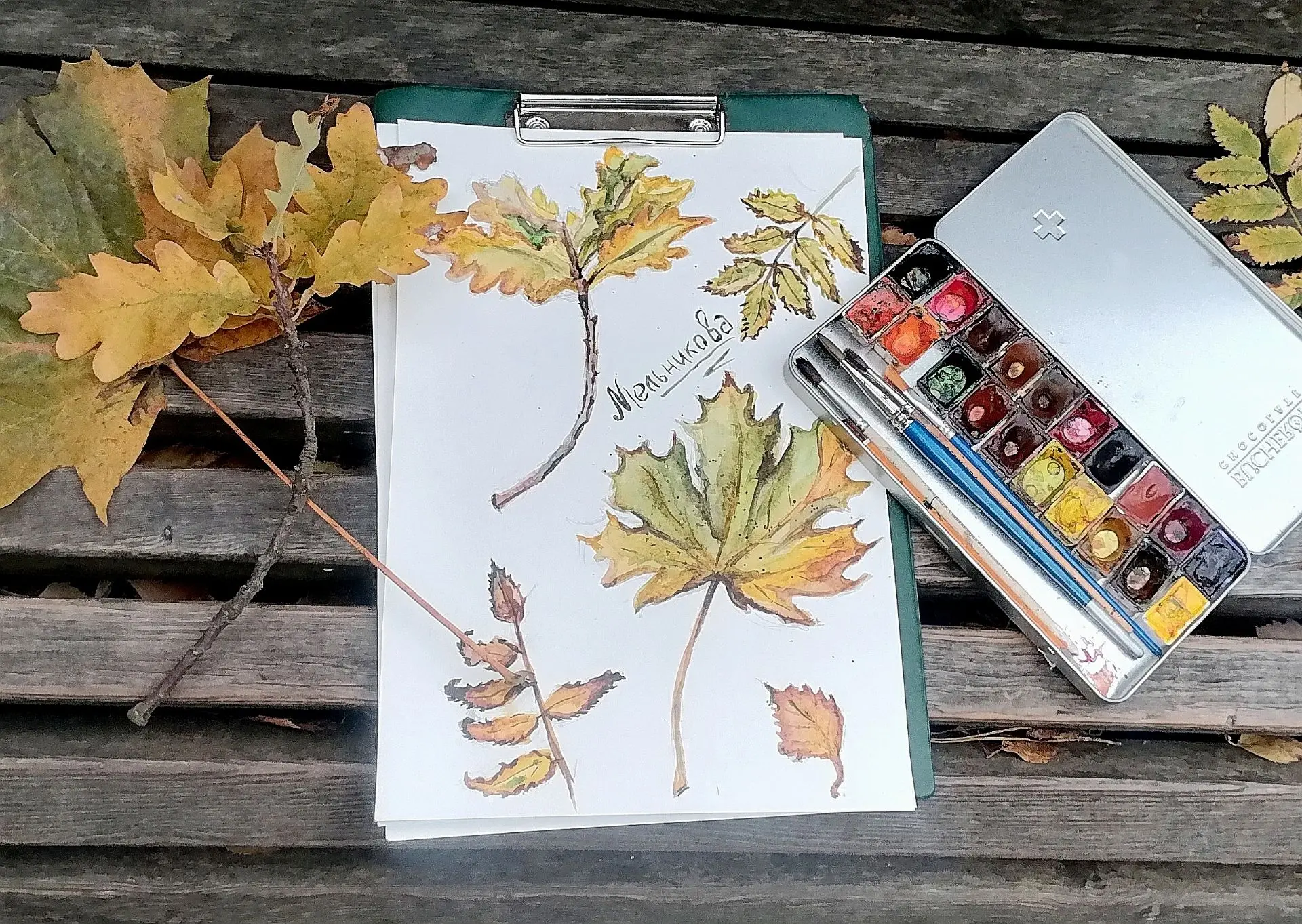 🍂Листья в Ольгинском лесопарке — настоящая осенняя палитра !