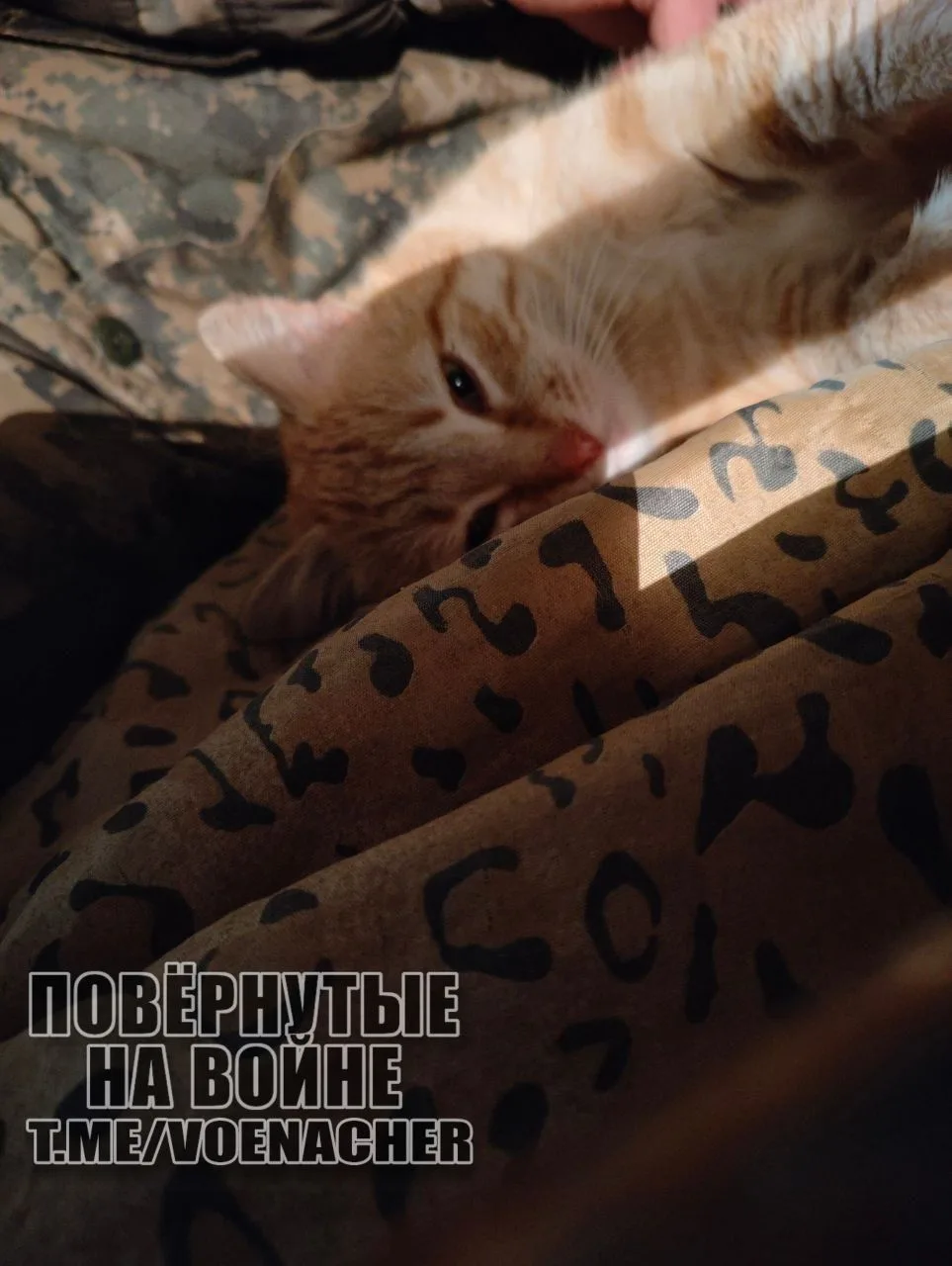 Доброе утро