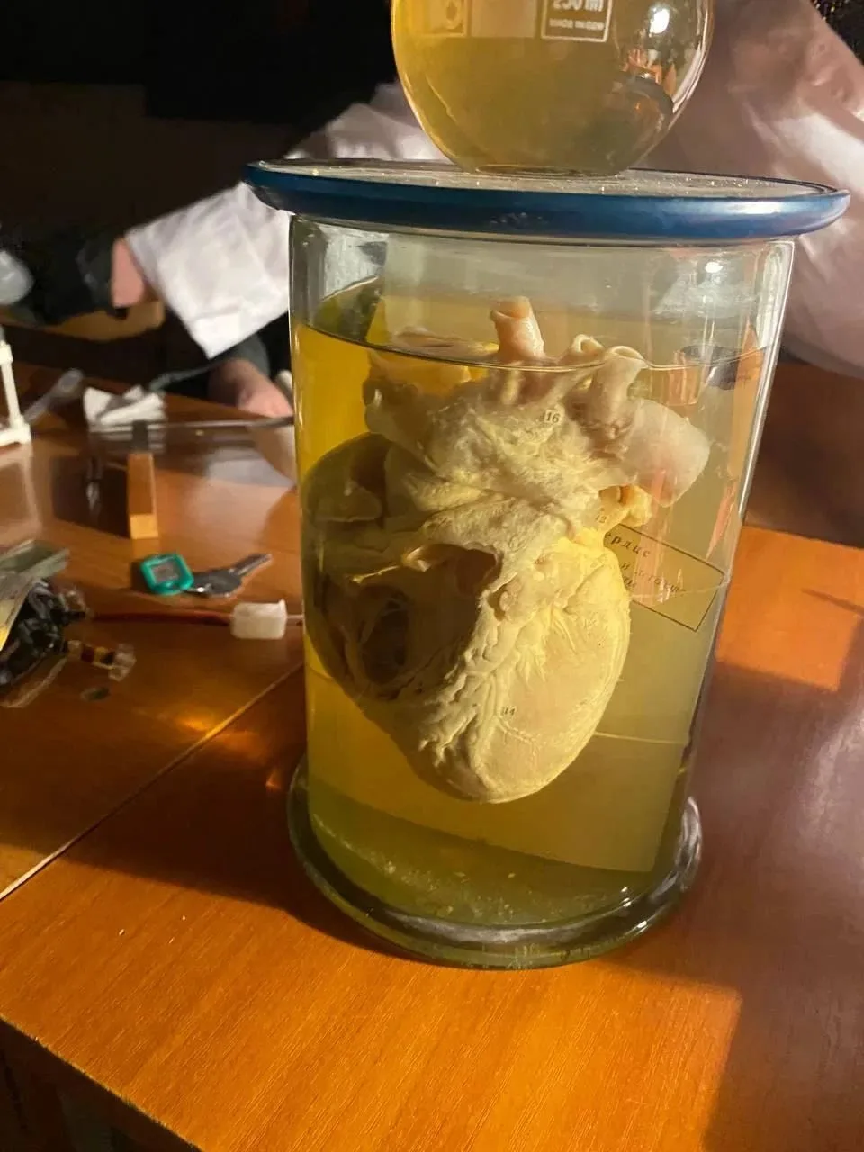 🧪 Наука — это магия? Нет, это «Ночь науки»! 🧬