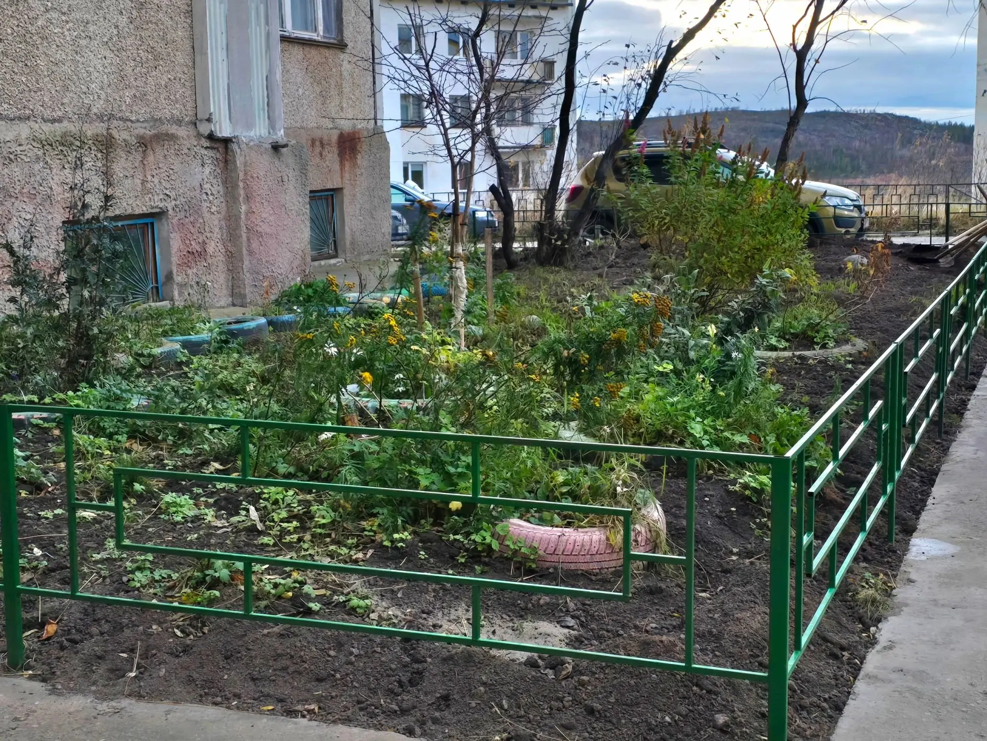 ☑️ Инициативы двора в действии