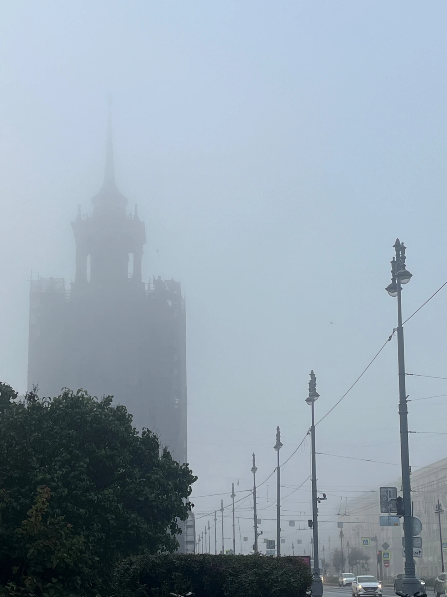 Туманное утро