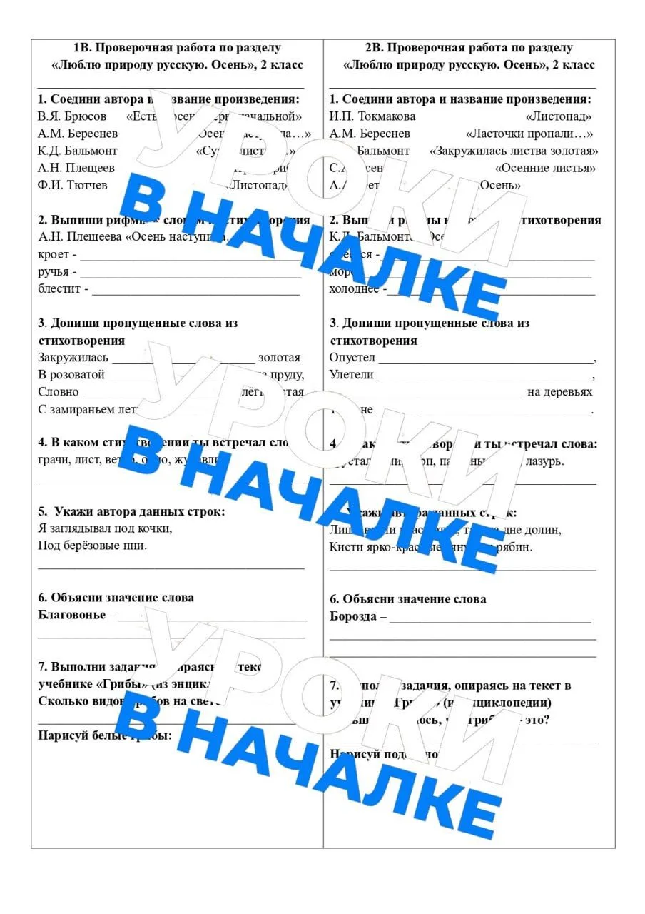 Проверочная работа по литературному чтению по разделу «Люблю природу русскую. Осень» 🍁