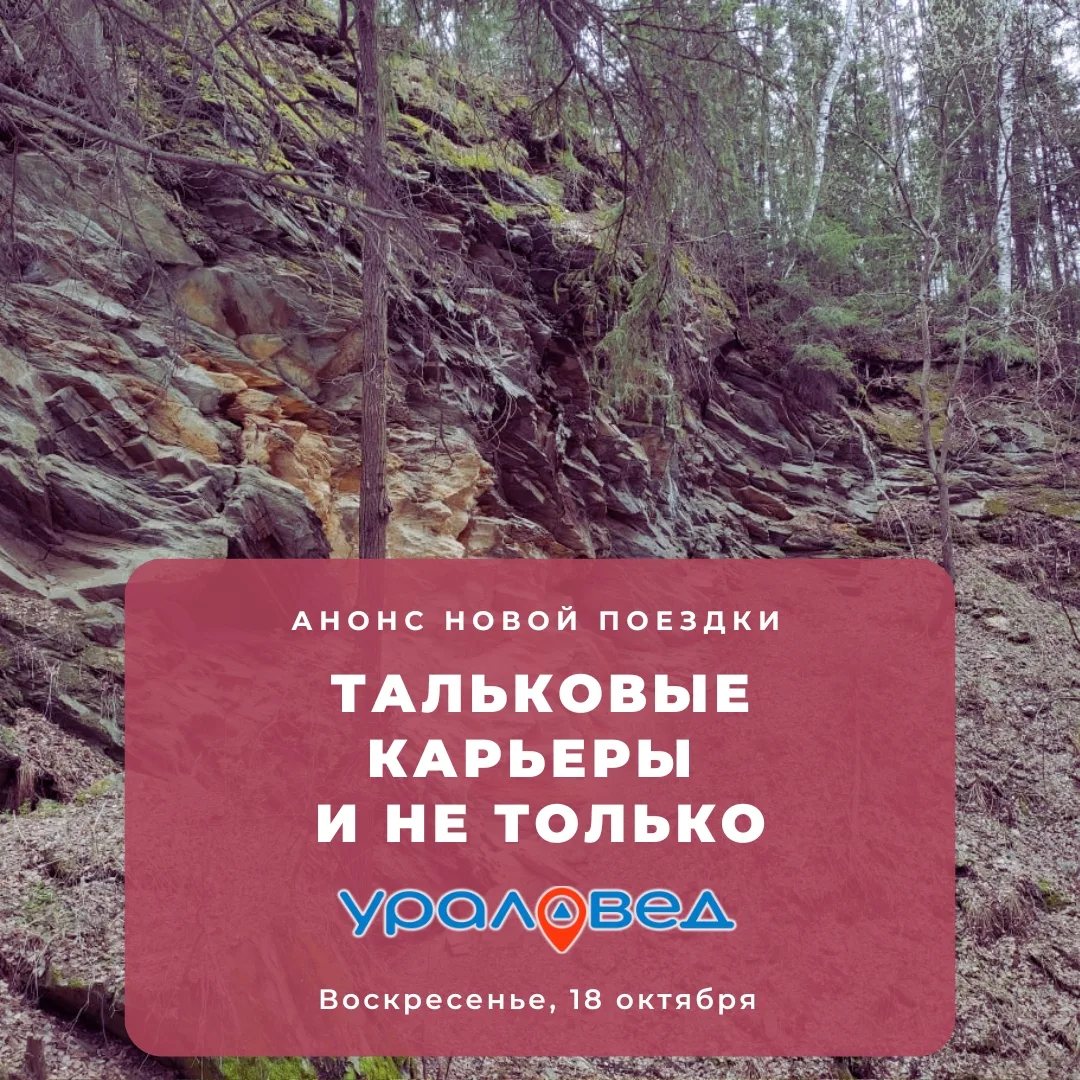 Друзья, есть желающие прогуляться по природе в ближайшее воскресенье? Мы увидим старинн...