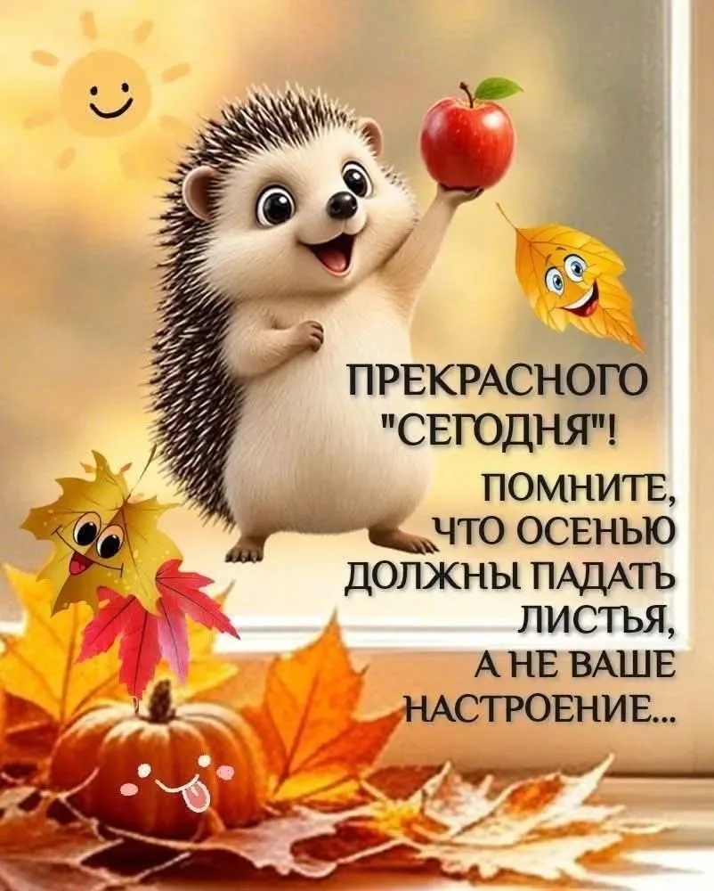 Доброе утро, мои дорогие ☀️