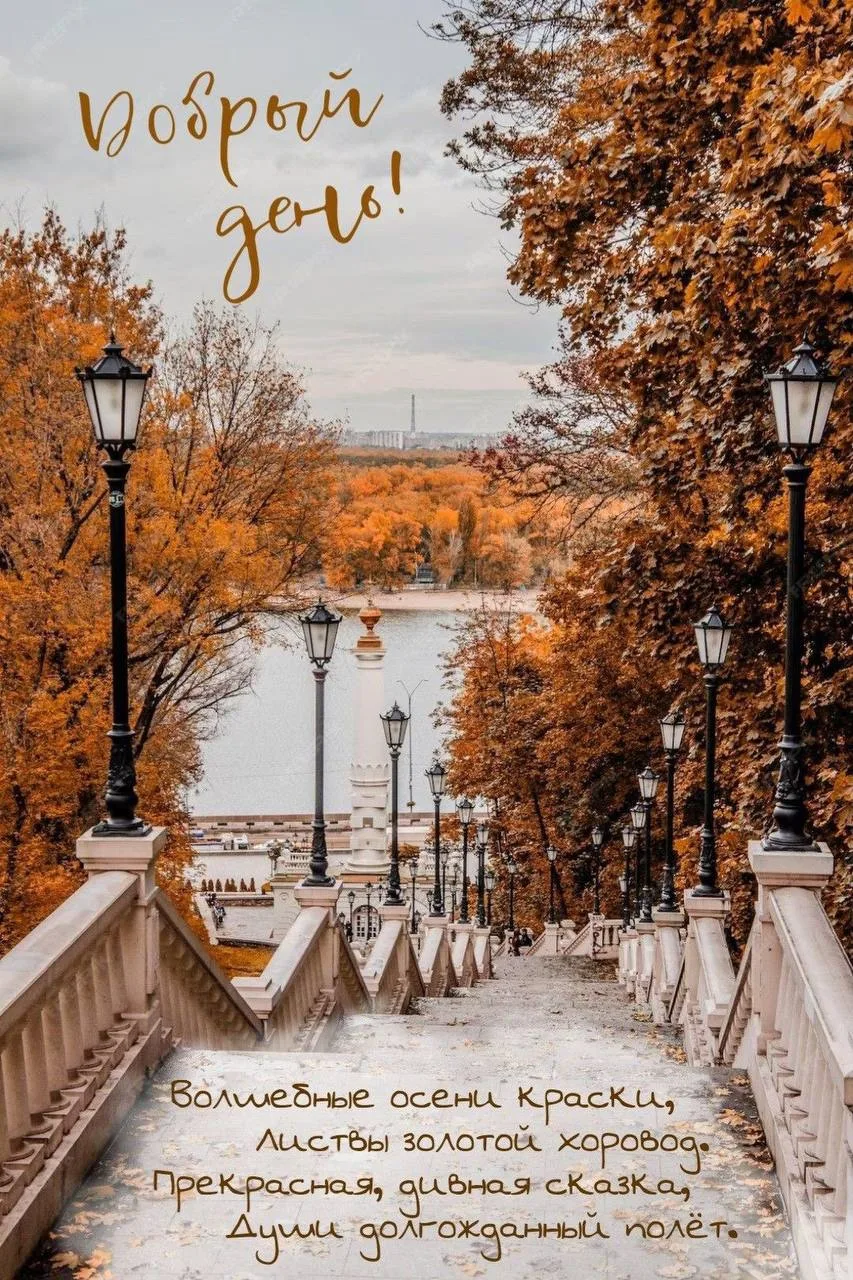 Женские открытки💝