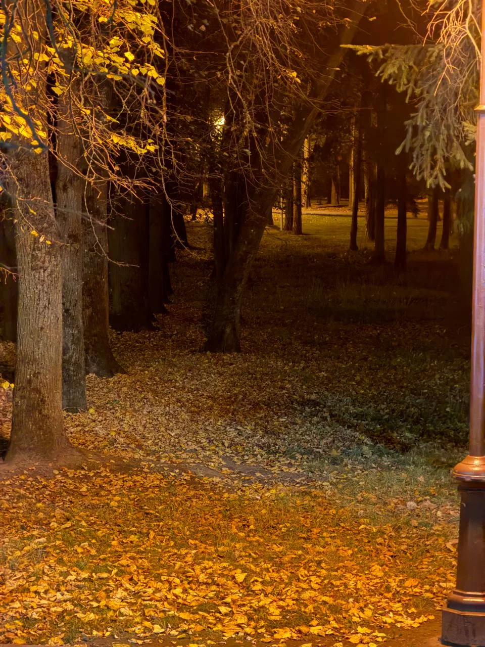 НЕ БОЙСЯ ничего.