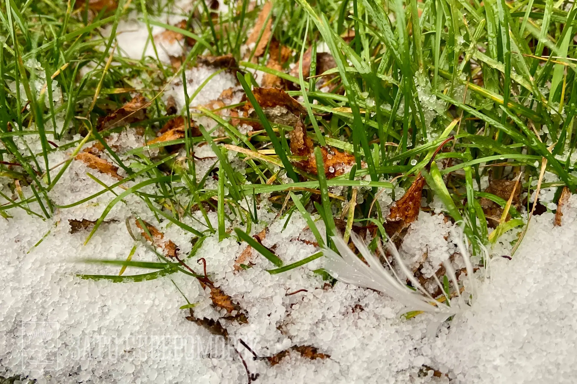 ❄️ С первым градом, с первым снегом!