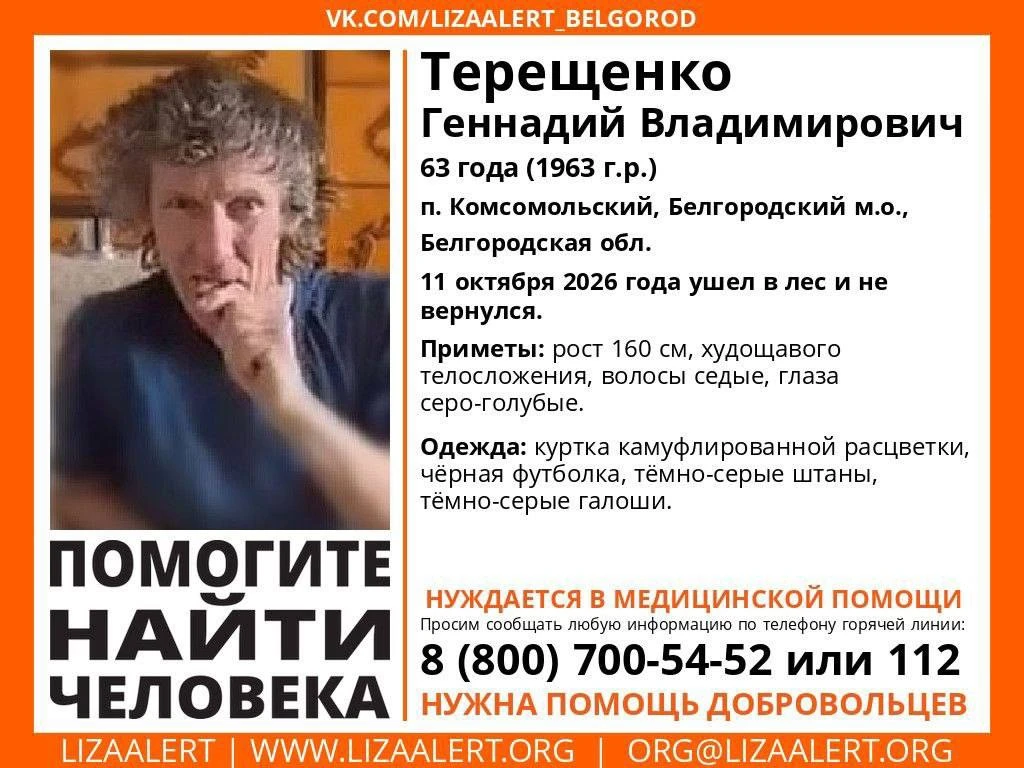 В Белгородском округе пропал 63-летний мужчина