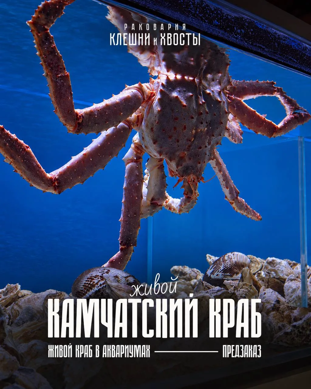 🦀 ЖИВОЙ КАМЧАТСКИЙ КРАБ ЭКСКЛЮЗИВ В «КЛЕШНИ И ХВОСТЫ»!