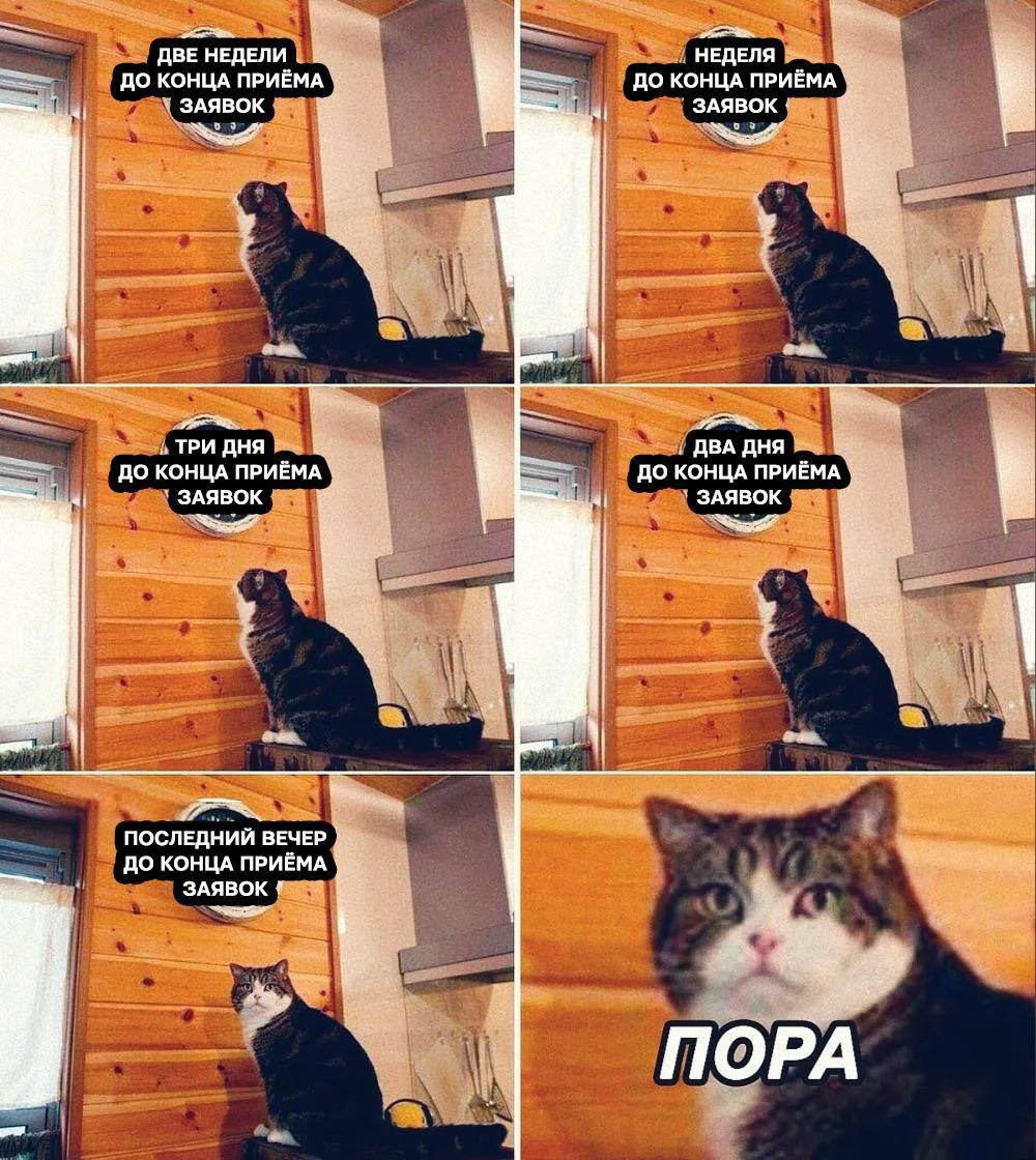😅 ЖДАТЬ ДО ПОСЛЕДНЕГО - ЭТО БАЗА. 😅