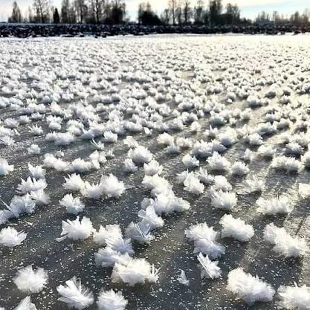 Редкое природное явление «ледяные цветы» заметили на реке Яна у Верхоянска