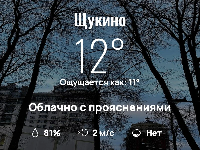Что с погодой в Щукино?
