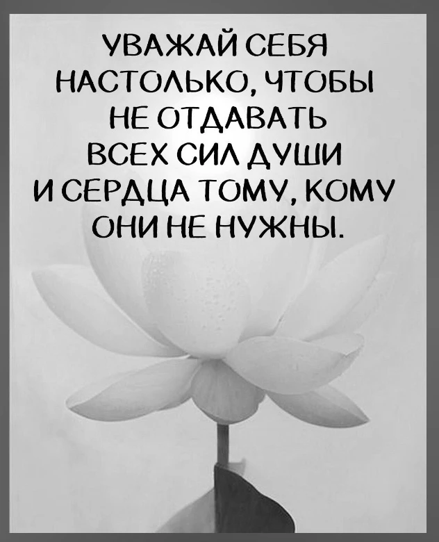 Мудрые Слова ✨