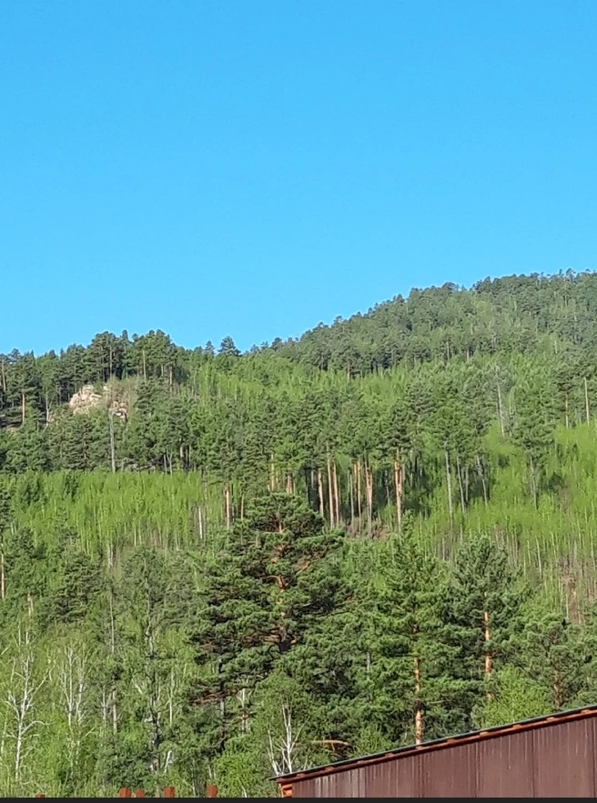 👋Доброго вечера, Забайкалье!