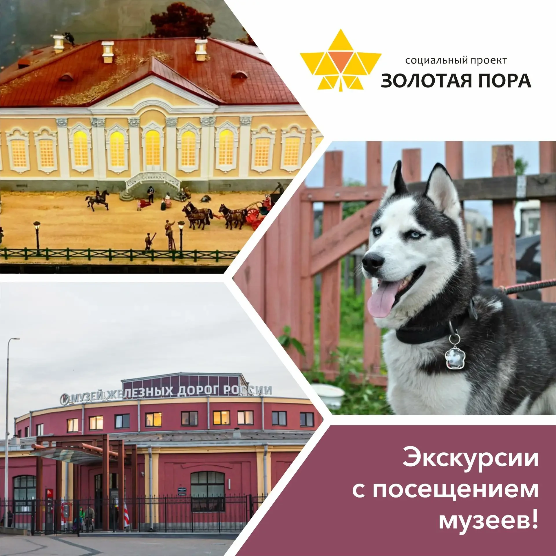 🏯Экскурсии с посещением музеев!