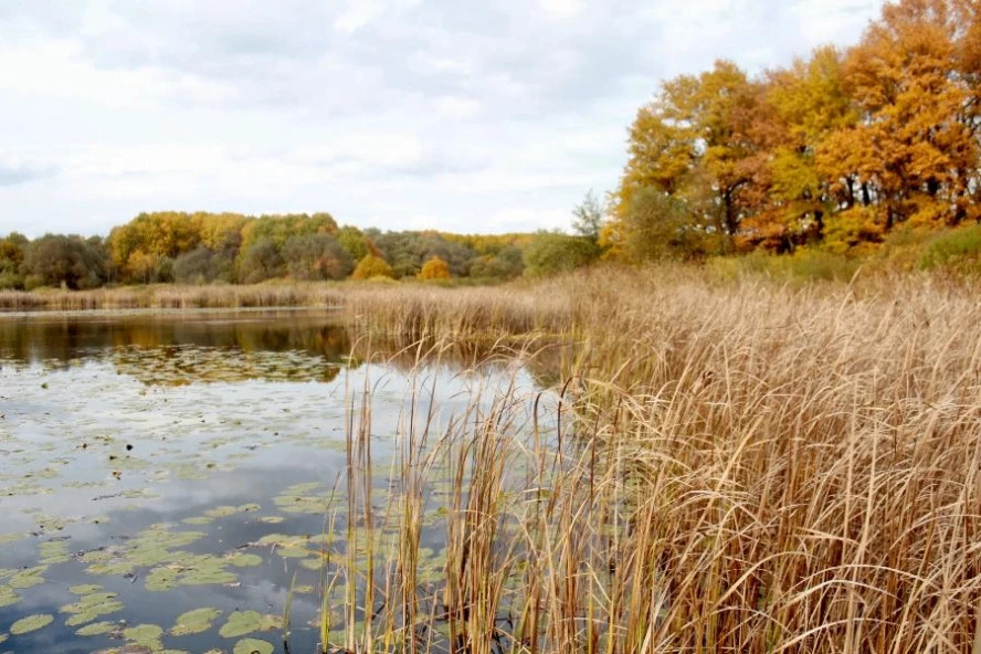 🏞 В заповеднике "Воронинский" завершился туристический сезон