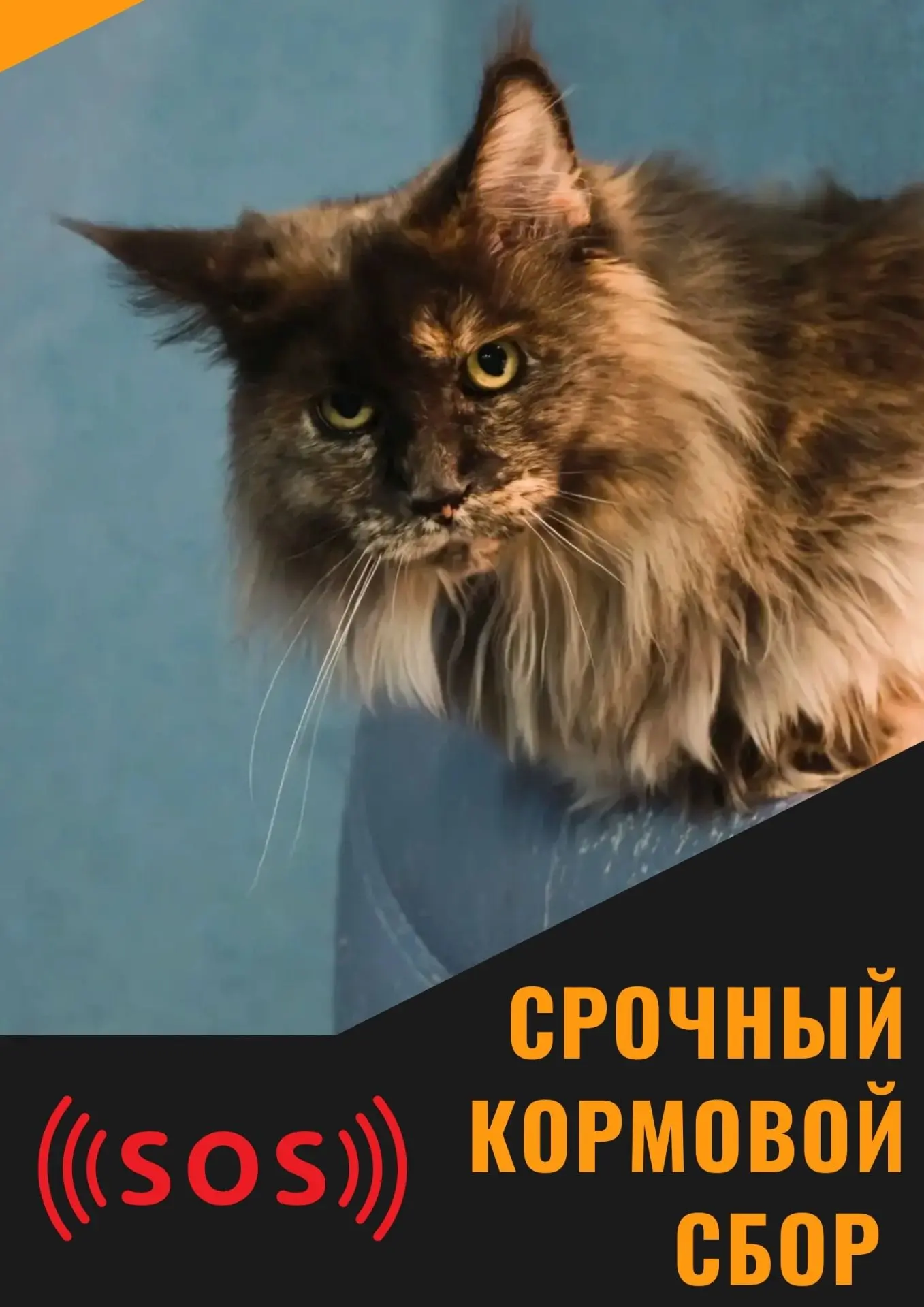 Друзья, минувшие дни прижали нас