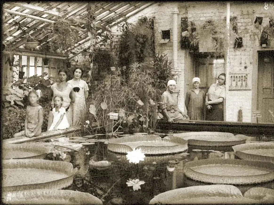 🌴 В 1891 году в центре Москвы появились настоящие тропики